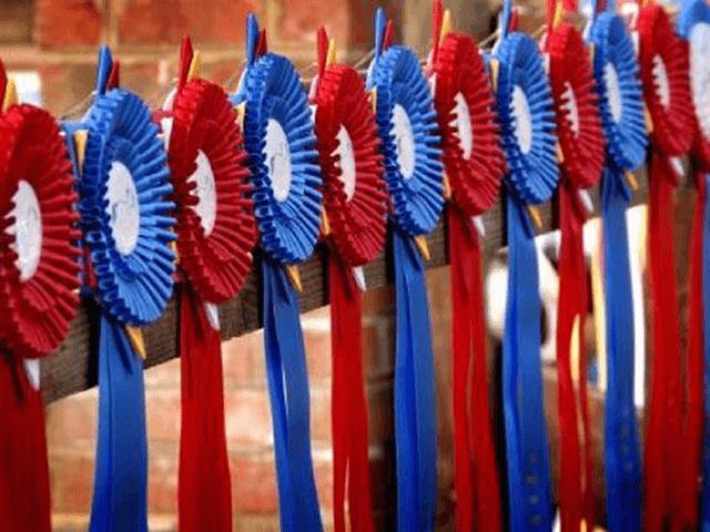 Equestrian competitors thrive at Sherwood Forest