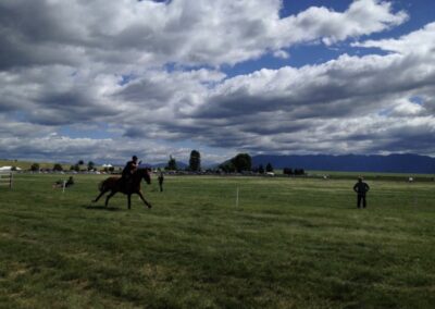 Emerson Eventing is training at Sherwood Forest