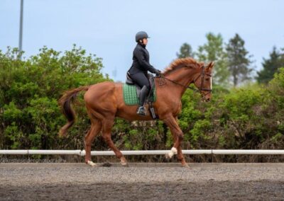 Emerson Eventing's training program is at Sherwood Forest